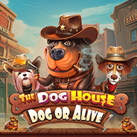 The Dog House – Dog or Alive game icon